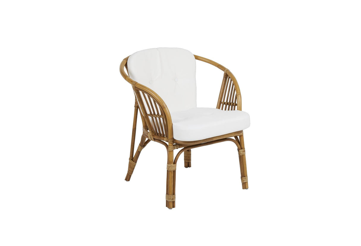 Astrakan Rattan Garden Chair w. Hyde, naturen