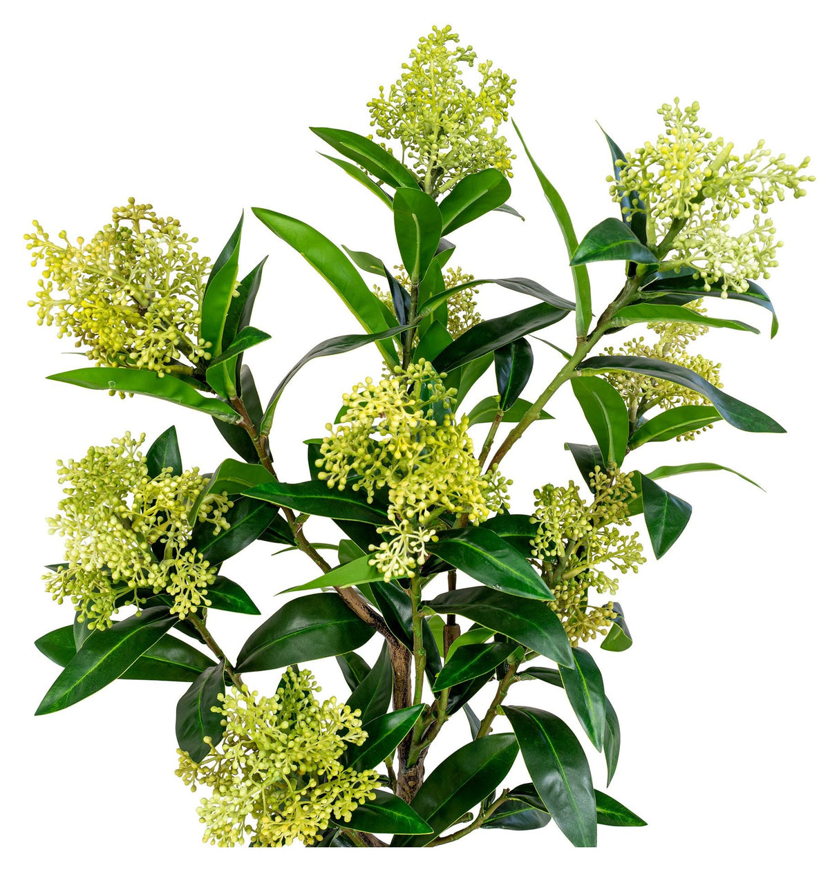 Skimmia artificiell växt, grön