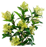 Skimmia artificiell växt, grön