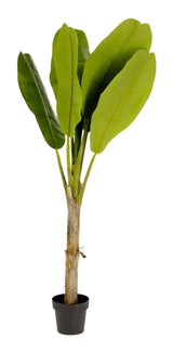 Banano Artificial Plant, 160 cm