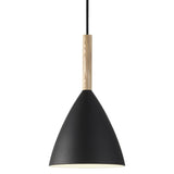 DFTP Pure 20 Pendant, svart