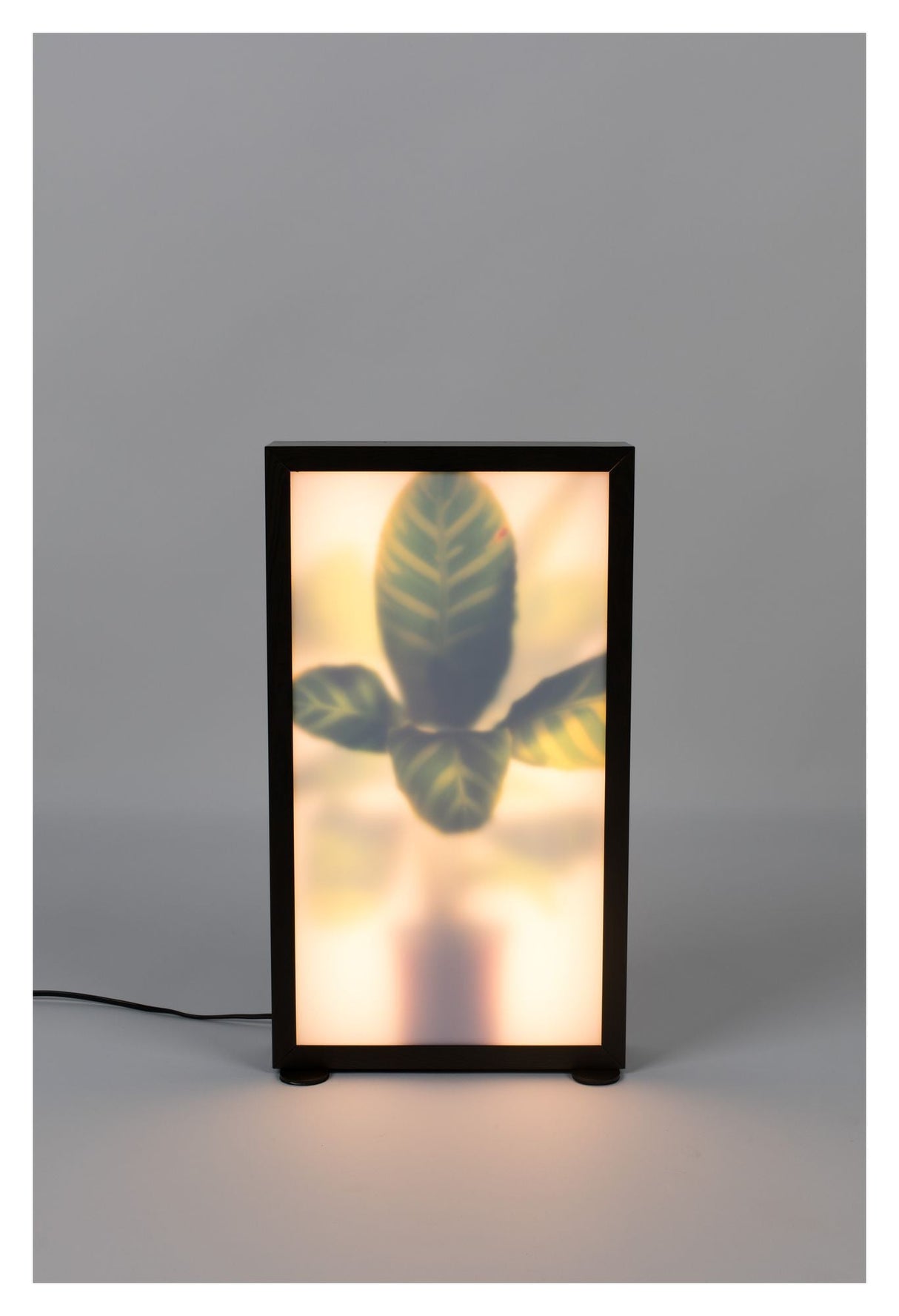 Zuiver Grow m golvlampa - mörk ekfinish